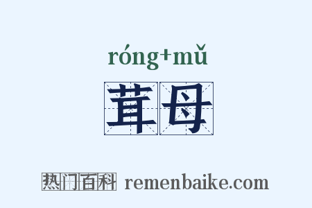 茸母是什么意思的图片